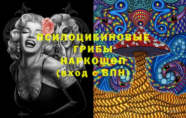 молекула духа Вязники